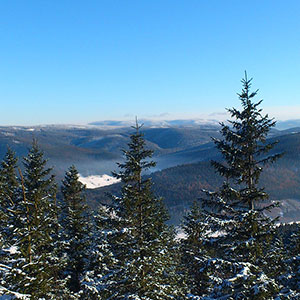 Willa Monte Neve